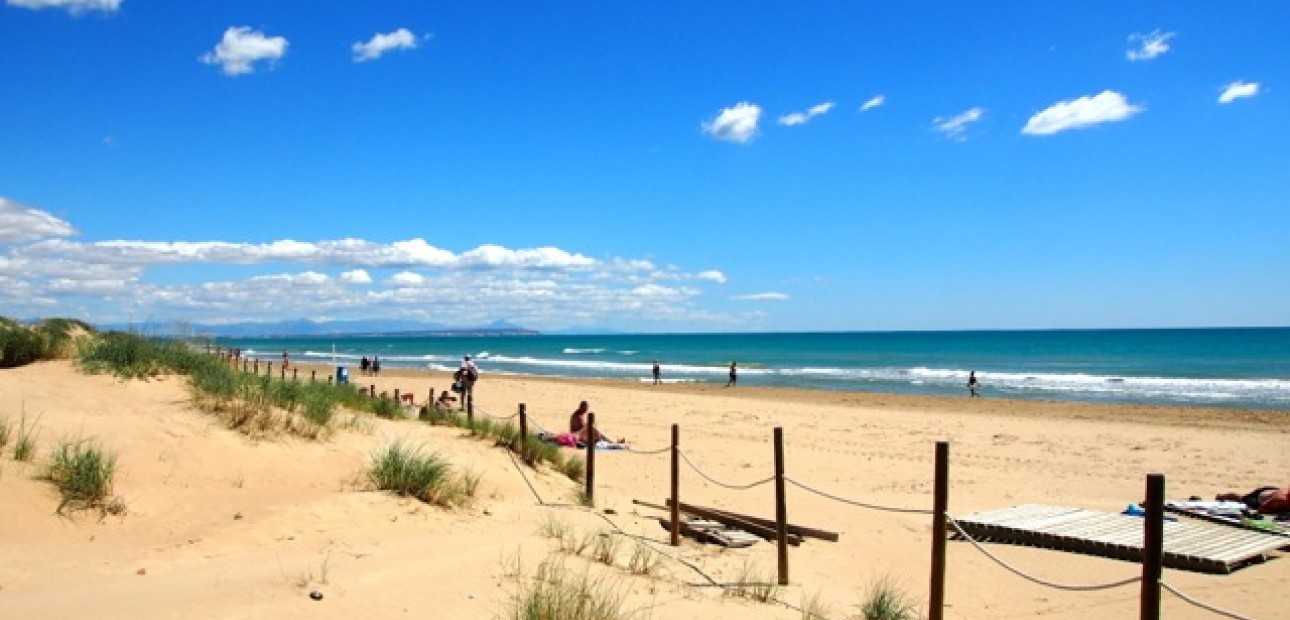 Nueva construcción  - Villa -
Guardamar del Segura