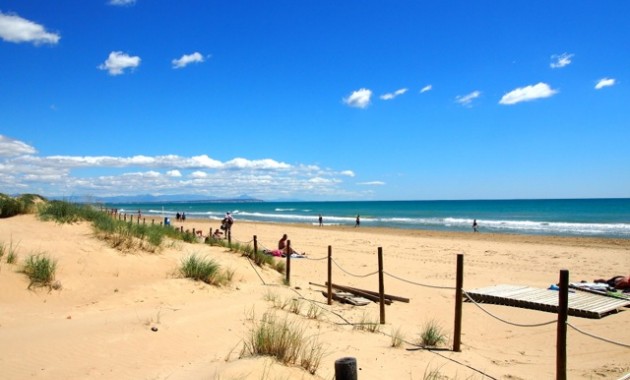 Nueva construcción  - Villa -
Guardamar del Segura