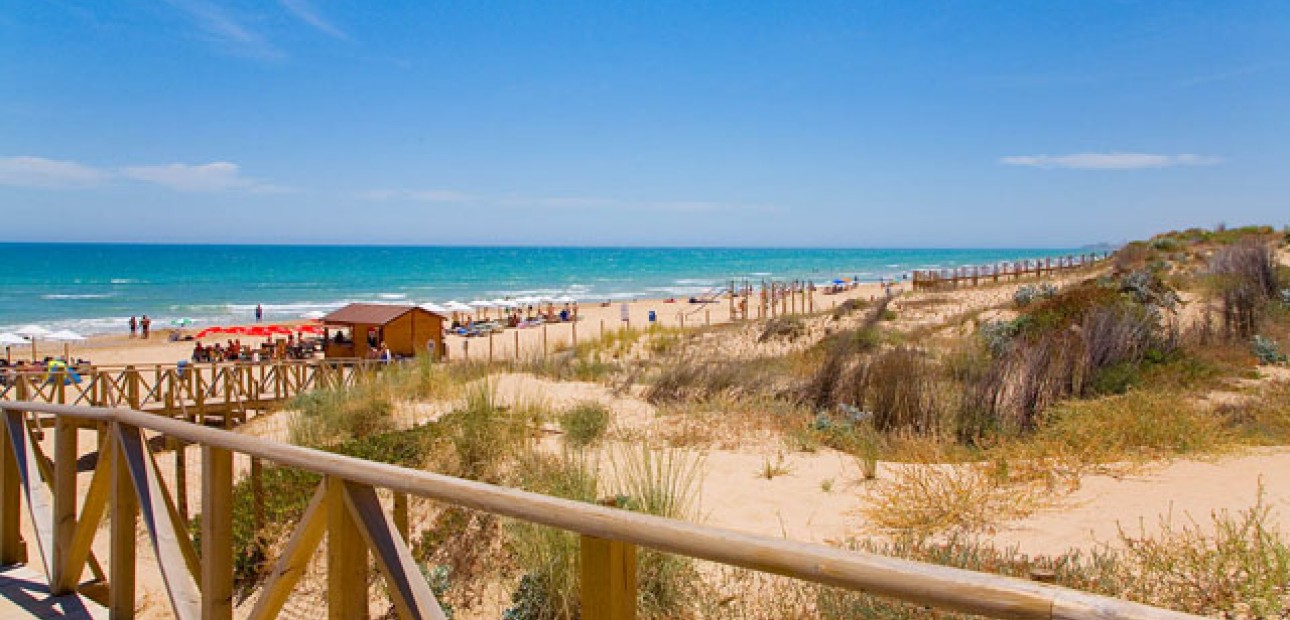 Nueva construcción  - Villa -
Guardamar del Segura