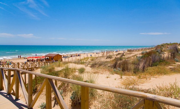 Nueva construcción  - Villa -
Guardamar del Segura