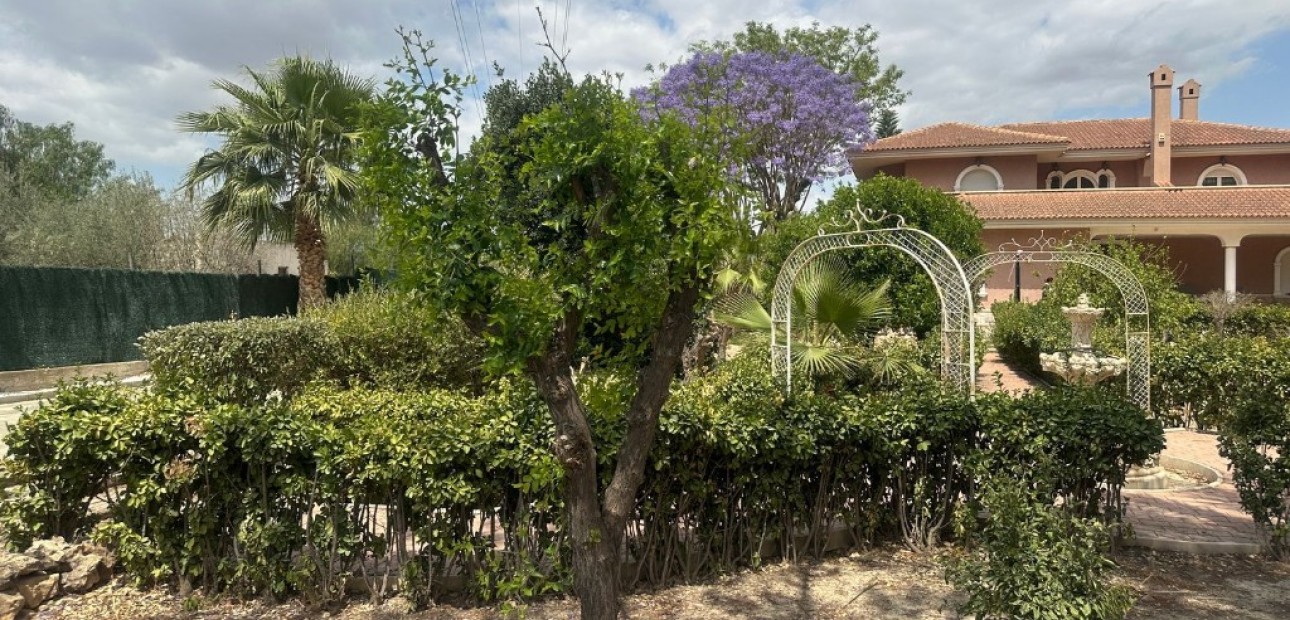 Herverkoop - Villa -
Orihuela