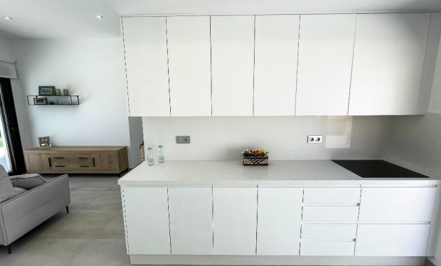 Nieuwbouw - Villa -
Pilar de la Horadada