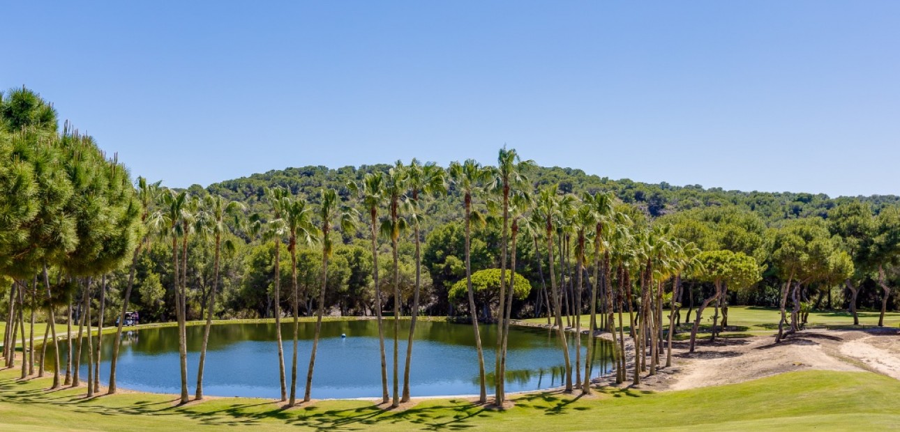 Venta - Apartamento / piso -
Las Ramblas