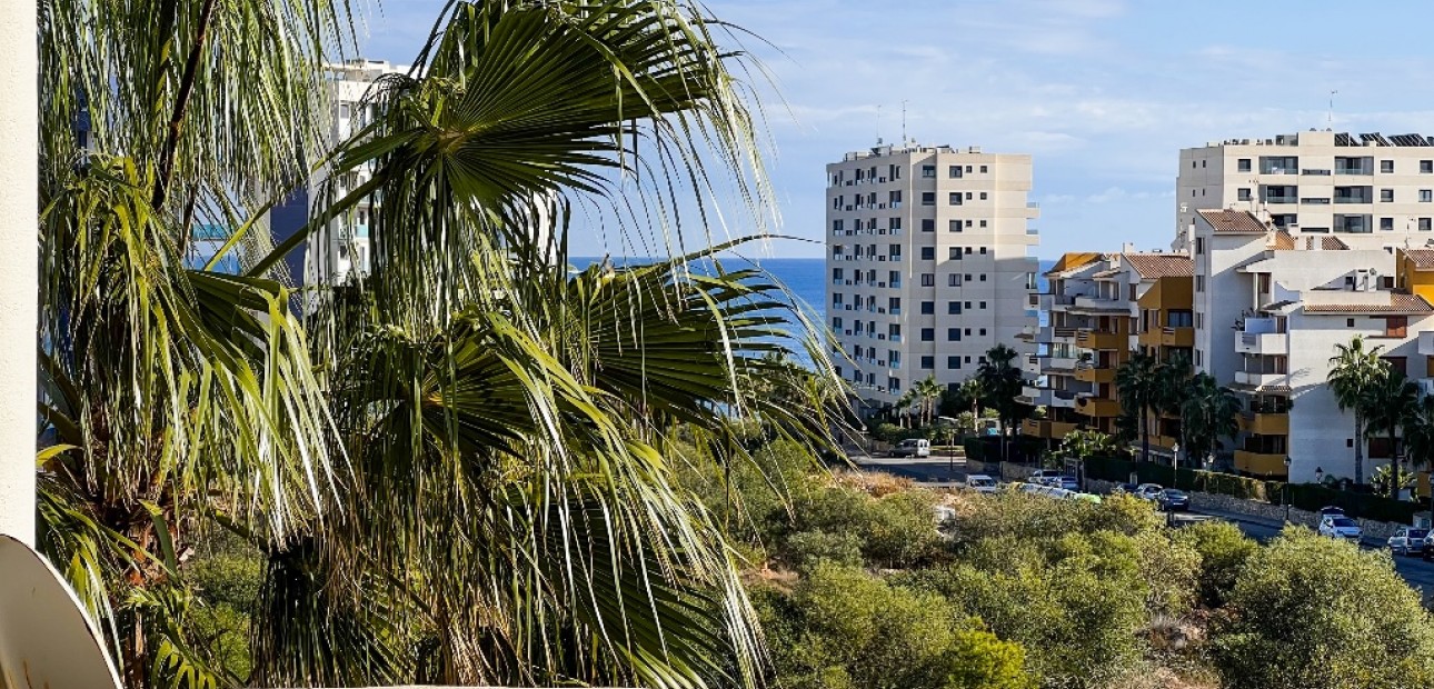 Herverkoop - Appartement / flat -
Punta Prima