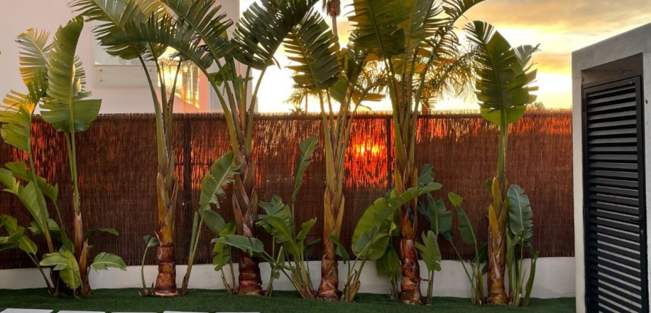 Nieuwbouw - Villa -
Finestrat