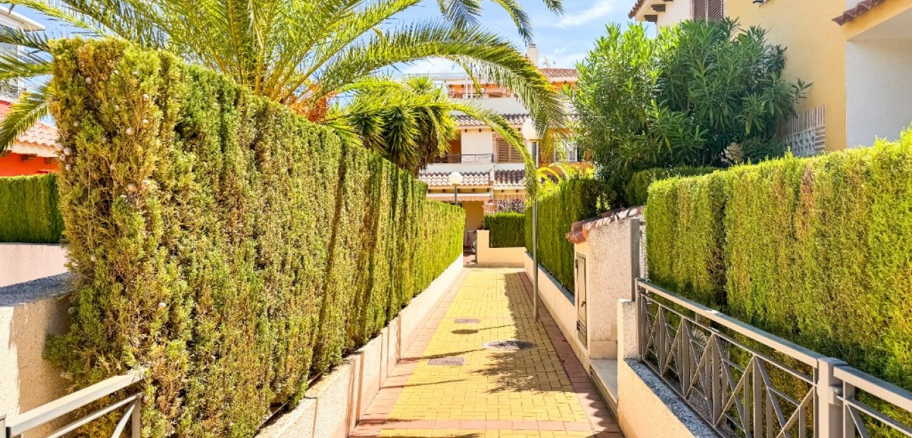 Vakantie verhuur - Appartement / flat -
Playa Flamenca - Zeniamar