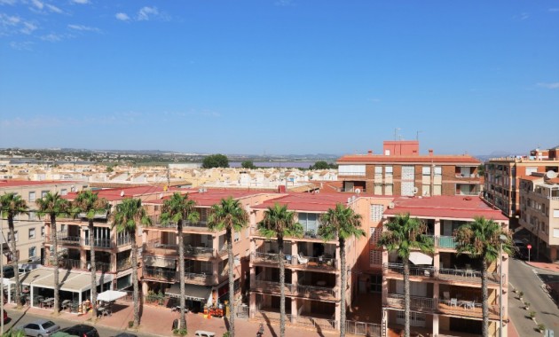 Venta - Apartamento / piso -
Torrevieja