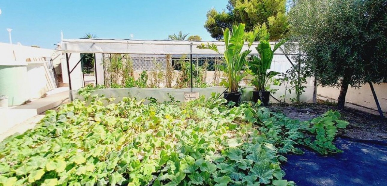 Sale - Villa -
Campoamor