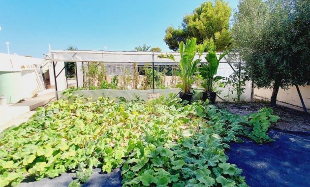 Sale - Villa -
Campoamor