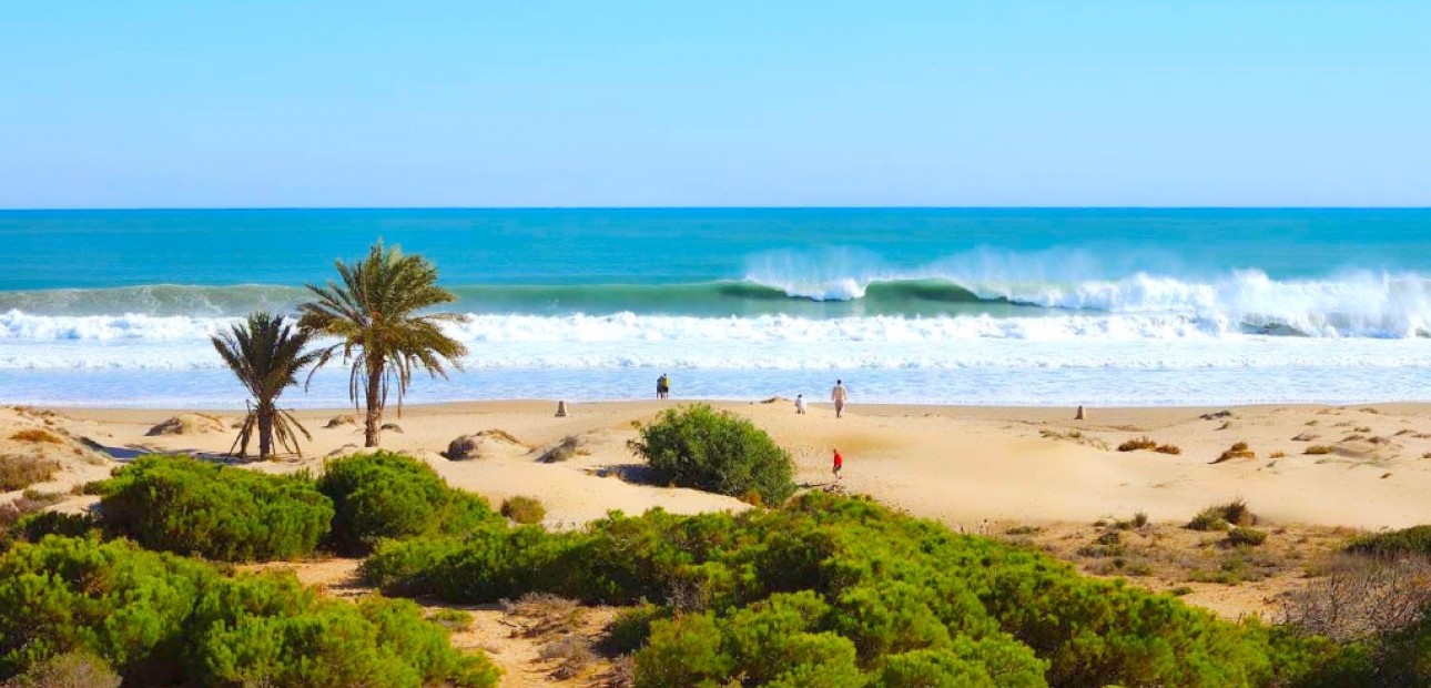 New Build - Apartment / flat -
Guardamar del Segura