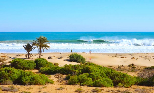 New Build - Apartment / flat -
Guardamar del Segura