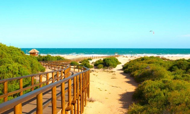 New Build - Apartment / flat -
Guardamar del Segura