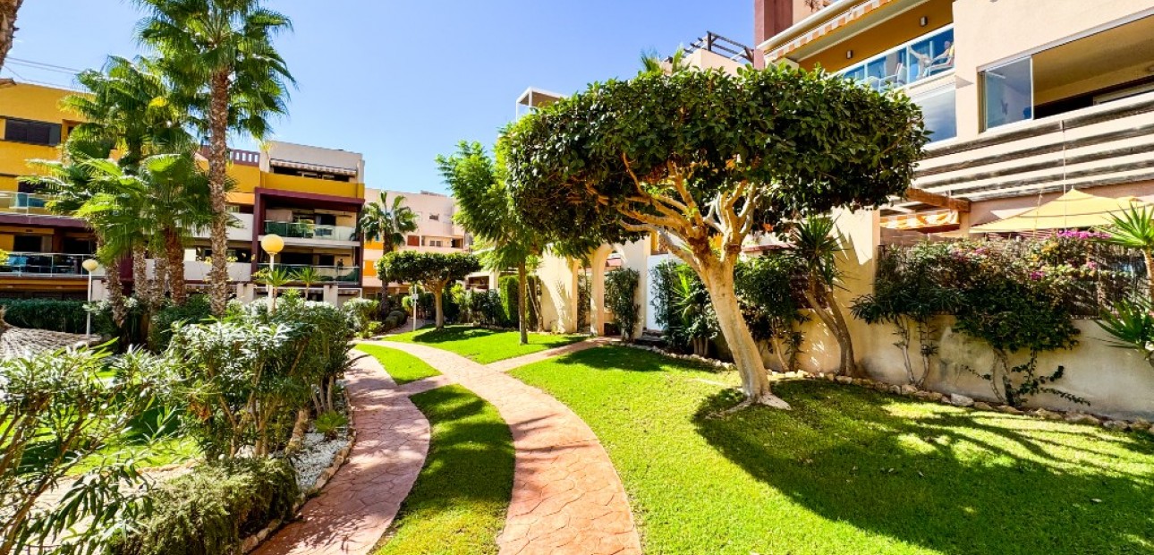 Herverkoop - Appartement / flat -
Playa Flamenca