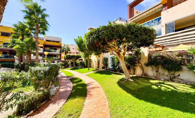 Herverkoop - Appartement / flat -
Playa Flamenca