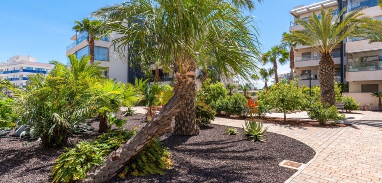 Herverkoop - Appartement / flat -
Orihuela Costa - Villamartín