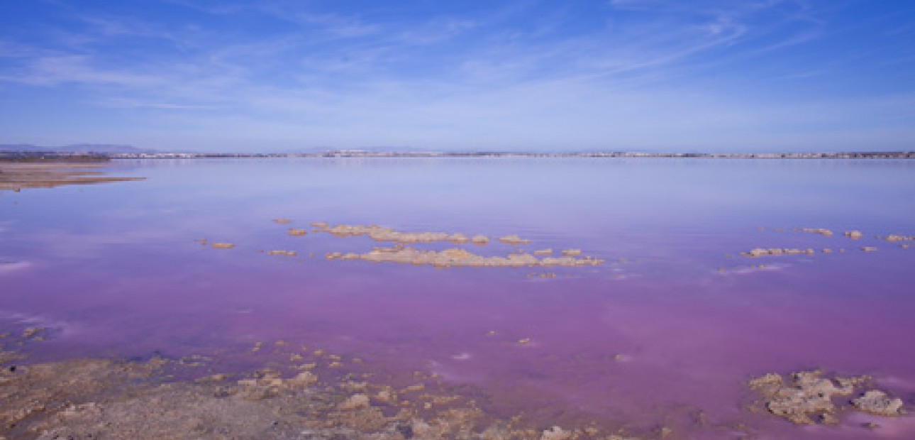 Herverkoop - Villa -
Torrevieja - Los altos