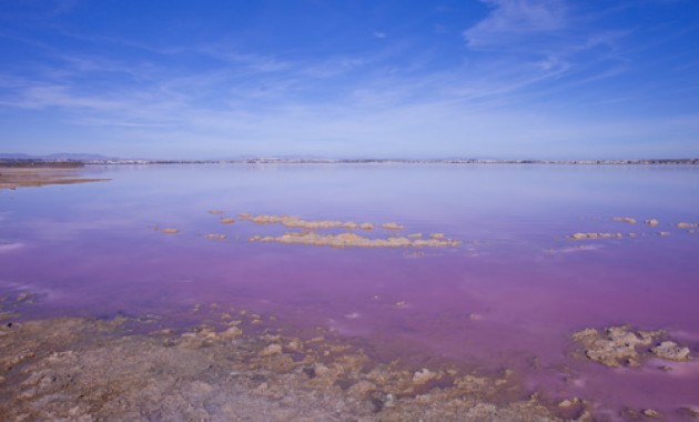 Herverkoop - Villa -
Torrevieja - Los altos