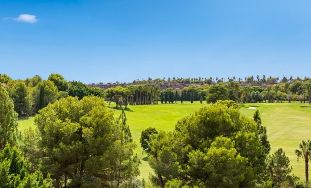 Venta - Apartamento / piso -
Campoamor