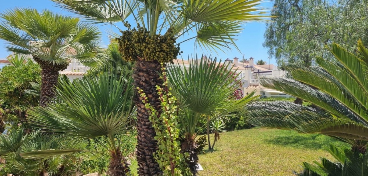 Herverkoop - Appartement / flat -
Torrevieja - Los Balcones