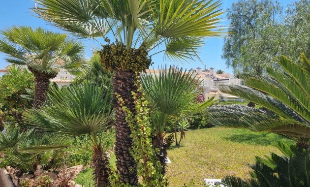 Herverkoop - Appartement / flat -
Torrevieja - Los Balcones