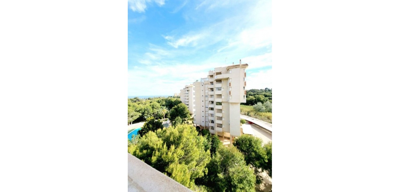 Venta - Apartamento / piso -
Dehesa de Campoamor