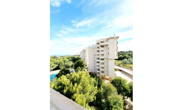 Venta - Apartamento / piso -
Dehesa de Campoamor