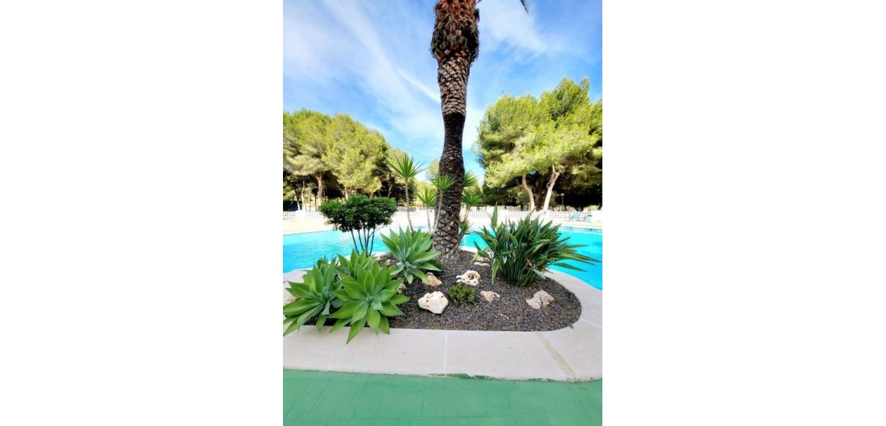 Venta - Apartamento / piso -
Dehesa de Campoamor