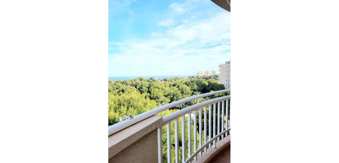 Venta - Apartamento / piso -
Dehesa de Campoamor