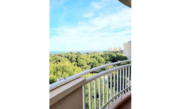 Venta - Apartamento / piso -
Dehesa de Campoamor