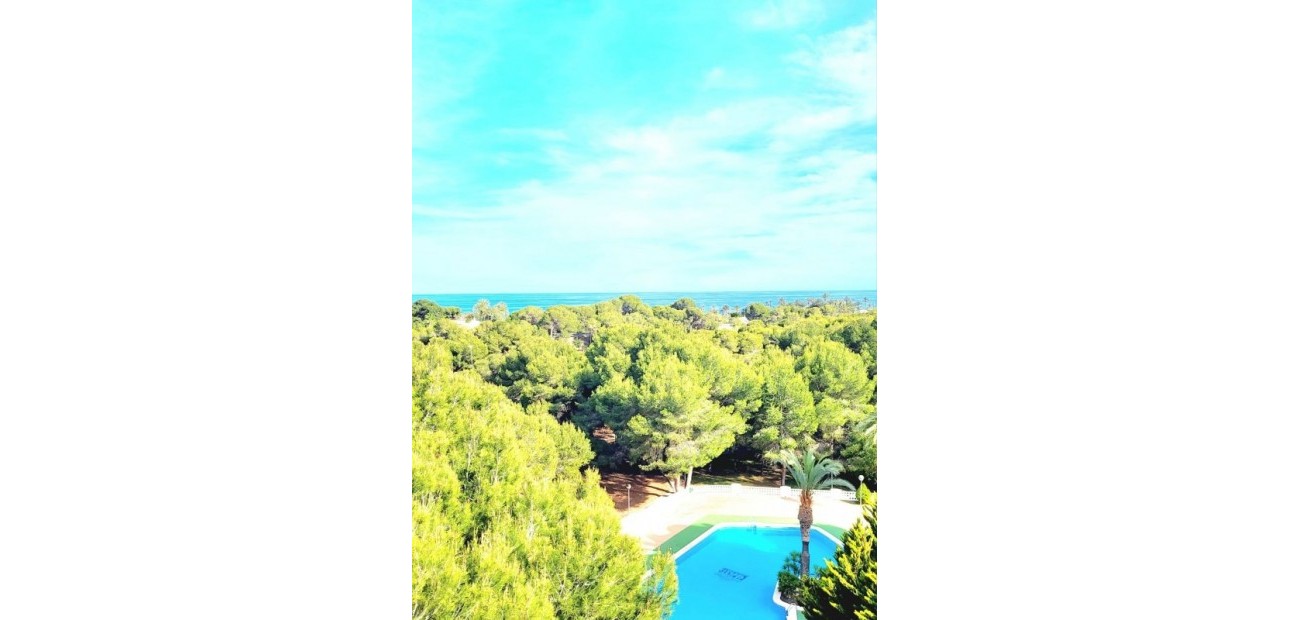 Venta - Apartamento / piso -
Dehesa de Campoamor