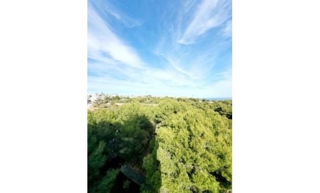 Venta - Apartamento / piso -
Dehesa de Campoamor