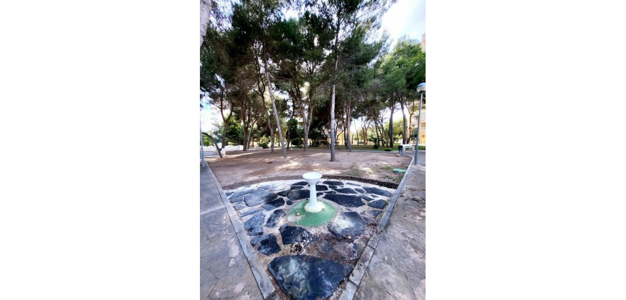 Venta - Apartamento / piso -
Dehesa de Campoamor