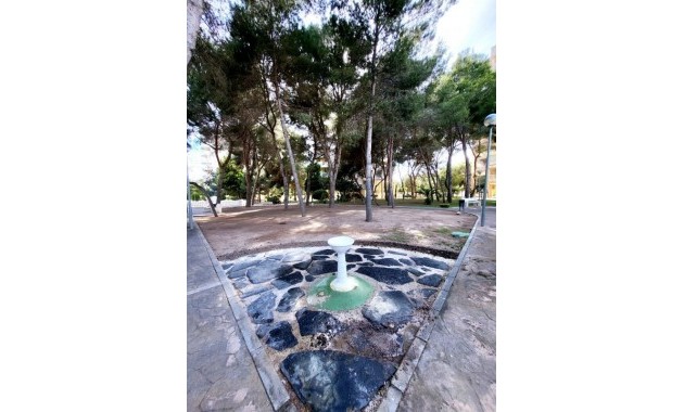 Venta - Apartamento / piso -
Dehesa de Campoamor