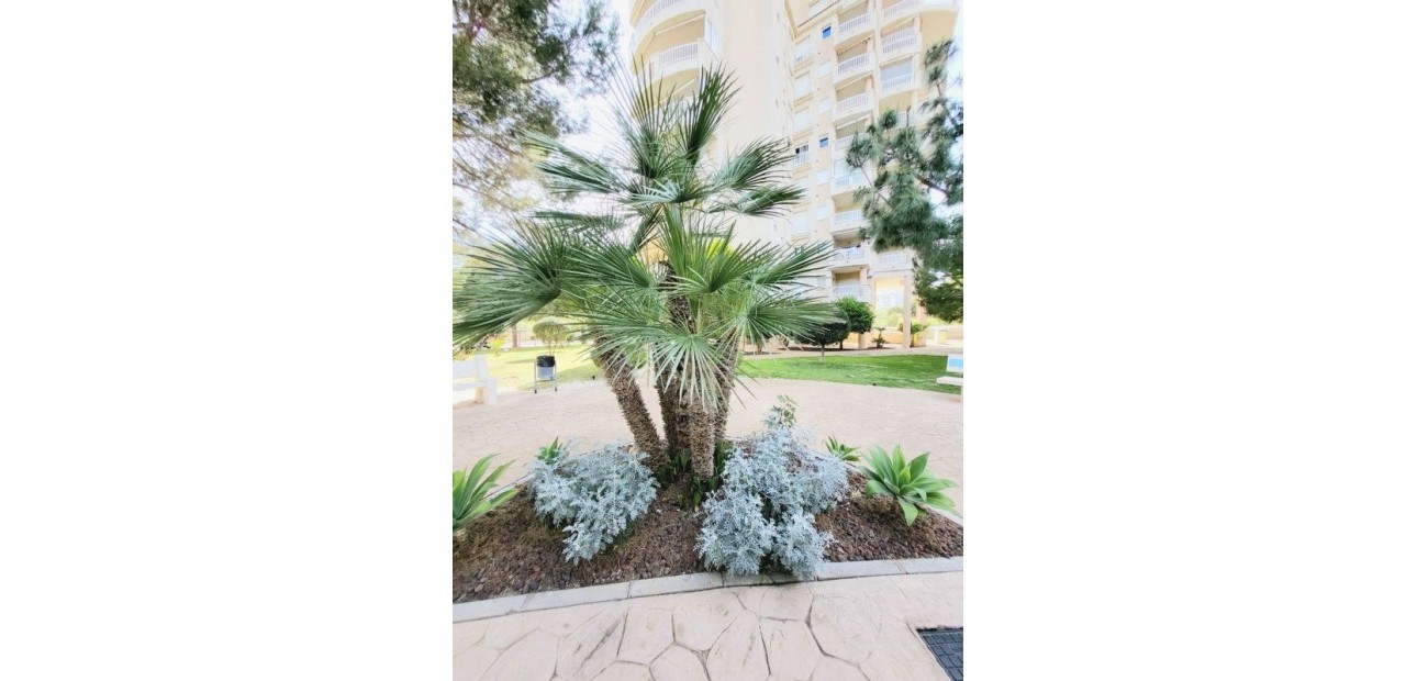 Venta - Apartamento / piso -
Dehesa de Campoamor