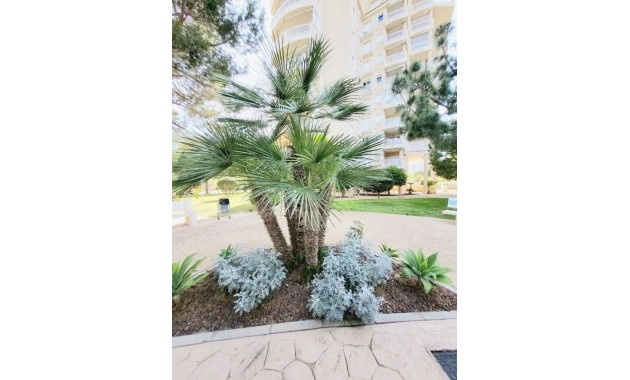 Venta - Apartamento / piso -
Dehesa de Campoamor