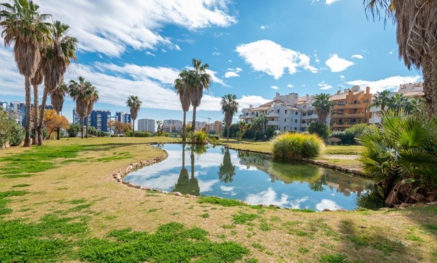 Venta - Apartamento / piso -
Punta Prima