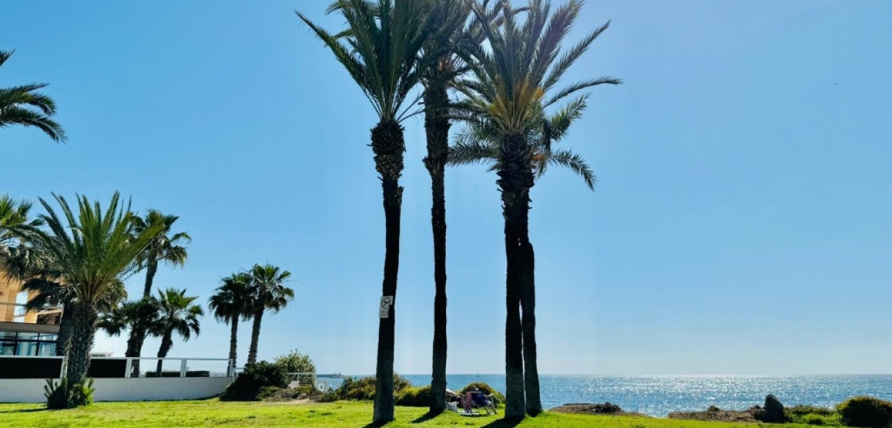 Sale - Apartment / flat -
Torrevieja - La veleta