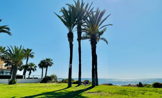 Sale - Apartment / flat -
Torrevieja - La veleta