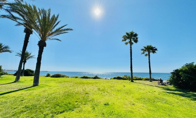 Sale - Apartment / flat -
Torrevieja - La veleta