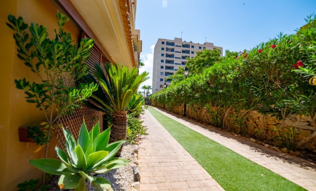 Herverkoop - Appartement / flat -
Punta Prima