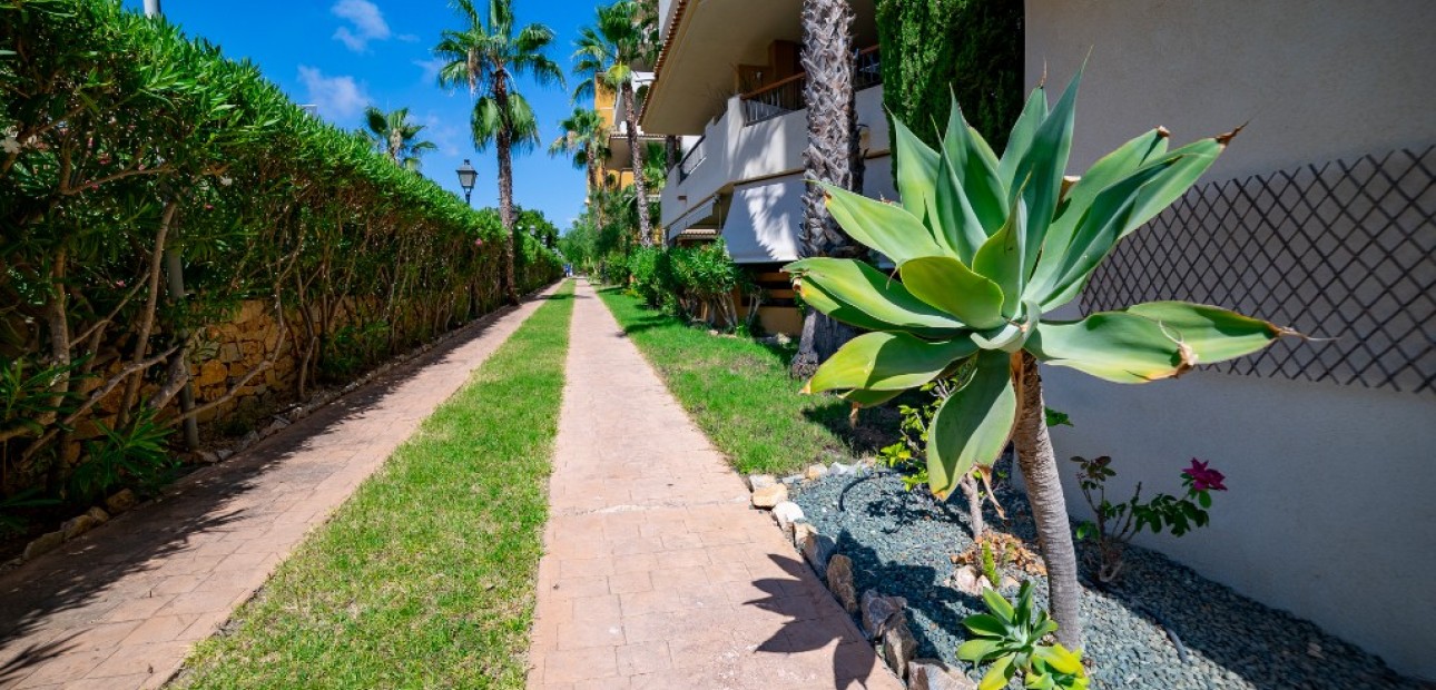 Herverkoop - Appartement / flat -
Punta Prima