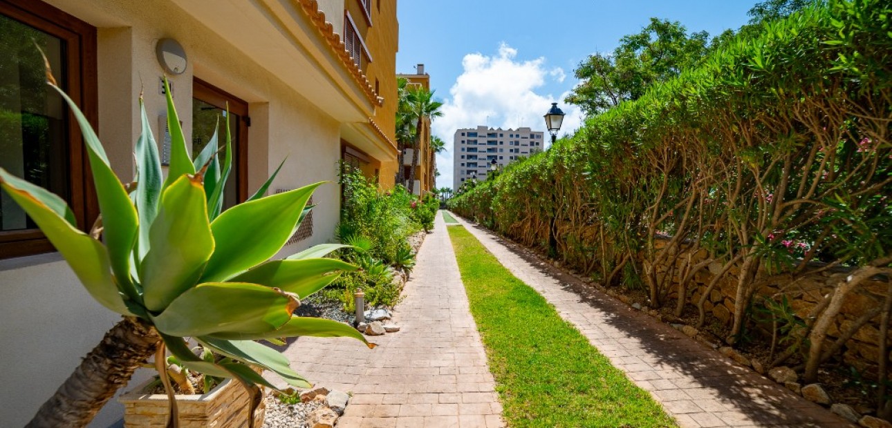 Herverkoop - Appartement / flat -
Punta Prima