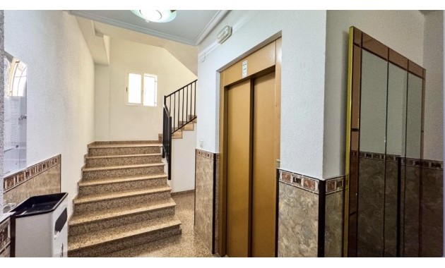 Herverkoop - Appartement / flat -
Torrevieja