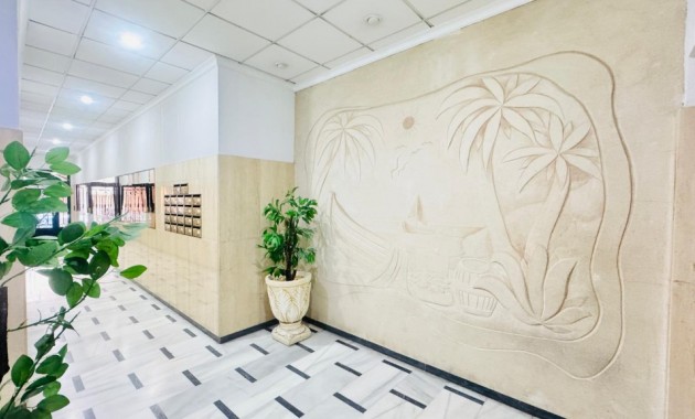 Herverkoop - Appartement / flat -
Torrevieja