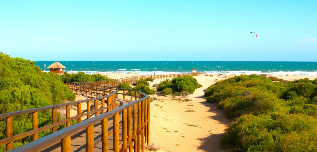 New Build - Apartment / flat -
Guardamar del Segura