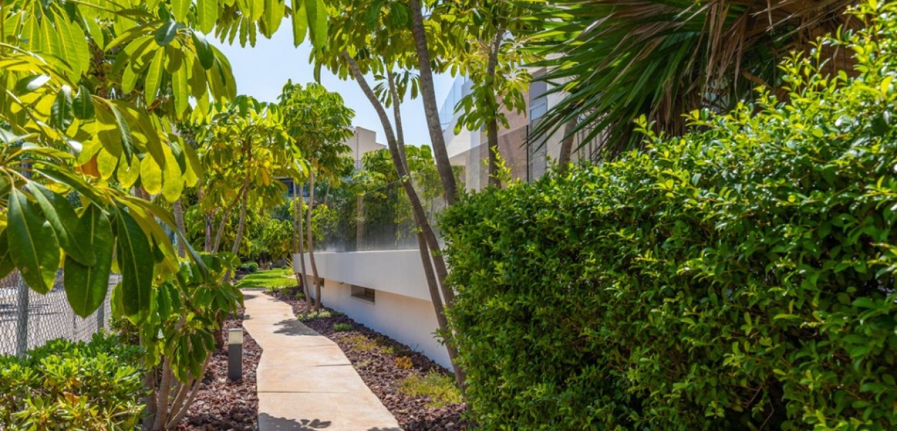 Herverkoop - Appartement / flat -
Cabo Roig