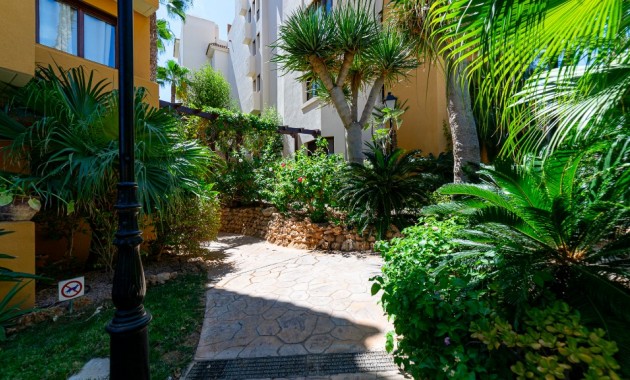 Sale - Apartment / flat -
Punta Prima