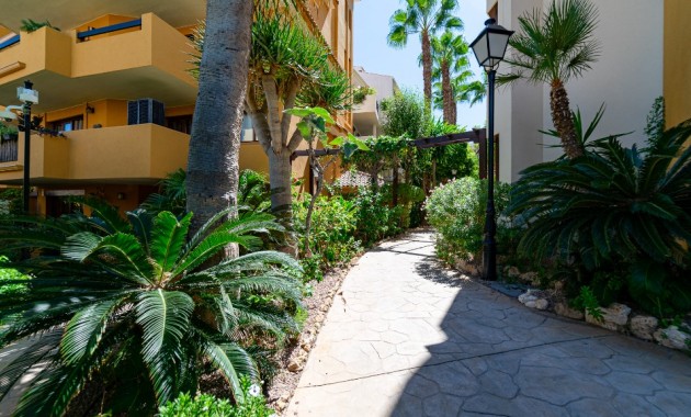 Sale - Apartment / flat -
Punta Prima