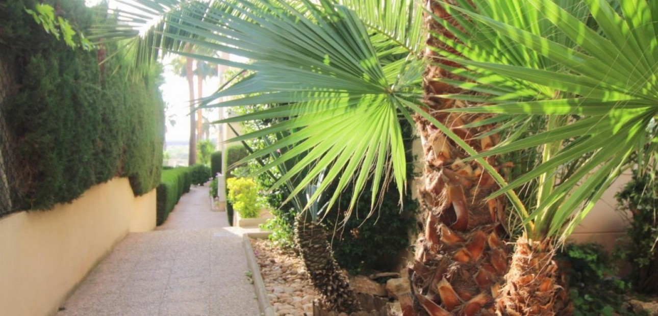 Herverkoop - Appartement / flat -
Torrevieja