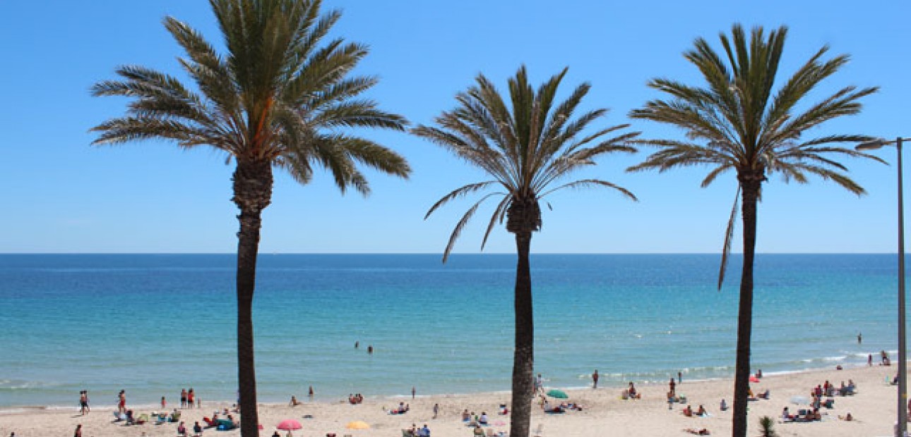 Herverkoop - Appartement / flat -
Pilar de la Horadada - Mil Palmeras